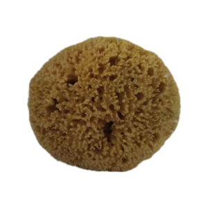 Καπάδικο Φυσικό Σφουγγάρι Θαλάσσης Μεγάλο 6-6μιση ίντσες - 4