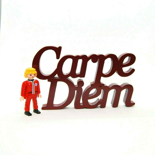 Ξύλινη επιγραφή Carpe Diem - δώρο, σπίτι, χειροποίητα, δωμάτιο, ξύλινο, ξύλινο, διακοσμητικά - 2