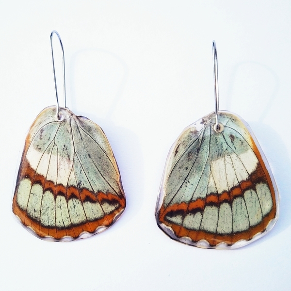 φυσικά φτερά πεταλούδας /Earrings from real butterfly wings. - ασήμι, γυαλί, πεταλούδα, κρεμαστά