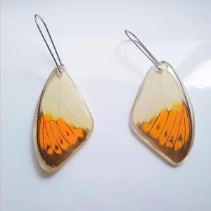 Σκουλαρίκια από φυσικά φτερά πεταλούδας / Earrings from real butterfly wings. - κρεμαστά