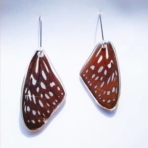 Earrings from real butterfly wings. - κρεμαστά