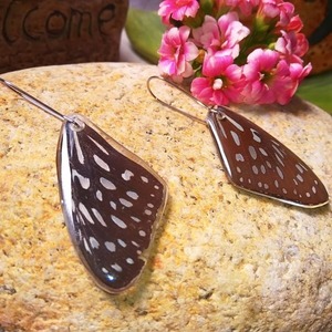 Earrings from real butterfly wings. - κρεμαστά - 2