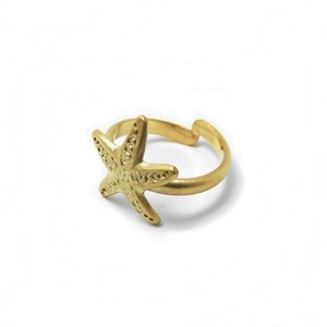 " Αστερίας " - Χειροποίητο επίχρυσο-επάργυρο δαχτυλίδι με σχέδιο αστερία της θάλασσας! - αυξομειούμενα, επιχρυσωμένα, επάργυρα, αστερίας, καλοκαίρι, φθηνά, boho