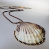Tiny 20190522183459 18235aec seashell long necklace