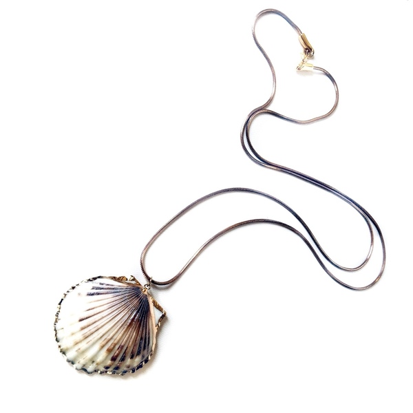 Seashell long necklace - μοντέρνο, γυναικεία, κοχύλι, μακριά - 3