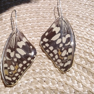 Σκουλαρικια από φυσικά φτερά πεταλούδας/Earrings from real butterfly wings. - boho, κρεμαστά, μεγάλα - 4