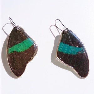 Σκουλαρίκια από αληθινά φτερά πεταλούδας σε μαύρο και πράσινο χρώμα. - κρεμαστά