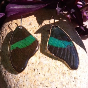 Σκουλαρίκια από αληθινά φτερά πεταλούδας σε μαύρο και πράσινο χρώμα. - κρεμαστά - 3