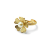 Tiny 20191223215034 09dcfa0d golden pearl flower