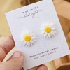 Tiny 20230825115140 1f05fdf7 daisies margarites karfota