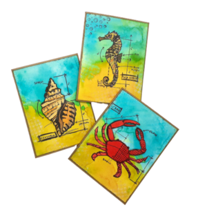 Σετ 3 καρτών - Βυθός - καλοκαίρι, κοχύλι, θάλασσα, γενική χρήση