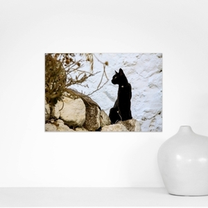 Κάδρο 50*35. «Νίσυρος». Εκτύπωση φωτογραφίας σε υλικό foam πάχους 1εκ. - πίνακες & κάδρα, διακόσμηση, γάτα, καλλιτεχνική φωτογραφία - 2