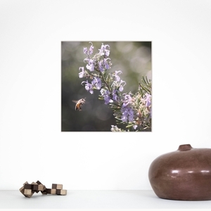Κάδρο 40*40εκ.|Μέλισσα| Εκτύπωση σε καμβά τελαρωμένο - πίνακες & κάδρα, φλοράλ, άνοιξη, καλλιτεχνική φωτογραφία - 3