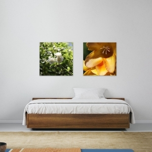 Κάδρο 20*20 εκ. |Άνθος | Εκτύπωση φωτογραφίας σε καμβά τελαρωμένο σε ξύλο 2x2 εκ. | Χρώμα πορτοκαλί, καφέ, κίτρινο, πράσινο - πίνακες & κάδρα, διακόσμηση, φλοράλ, minimal - 5