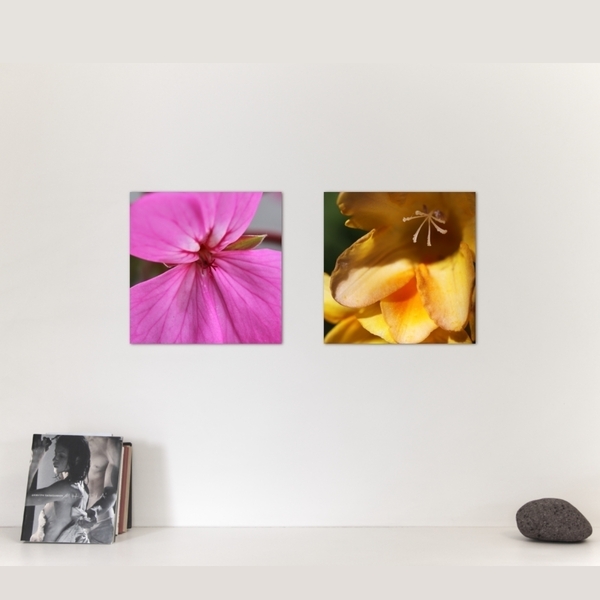 Κάδρο 20*20εκ.|Γεράνι |Εκτύπωση σε καμβά τελαρωμένο - πίνακες & κάδρα, λουλούδια, διακόσμηση σαλονιού - 4