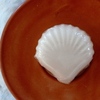 Tiny 20201123181722 c1b435a7 pearl shell