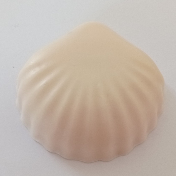 Pearl Shell - 5