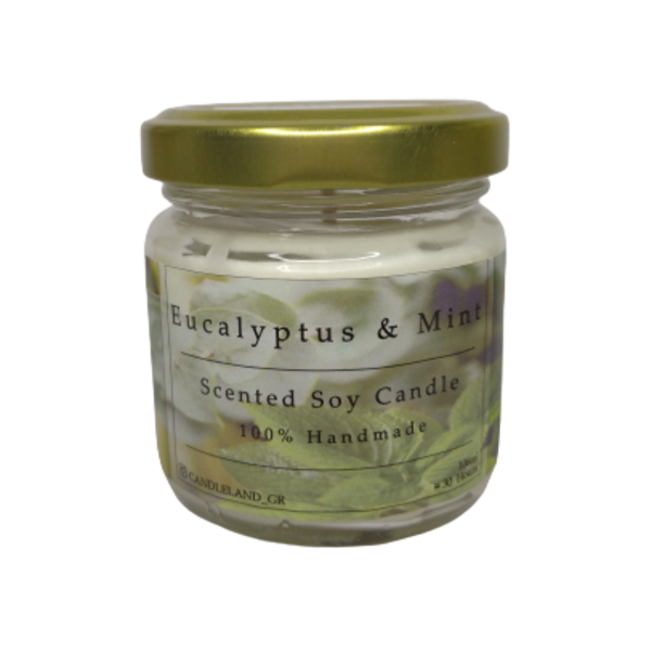 Eukalyptus & Mint 100% Soy Candle 106ml - αρωματικά κεριά, αρωματικό, σόγια, κερί σόγιας, 100% φυτικό