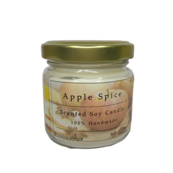 Apple Spice 100% Soy Candle 106ml