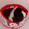 Tiny 20210104201838 f0ad250f cuddle cup gia