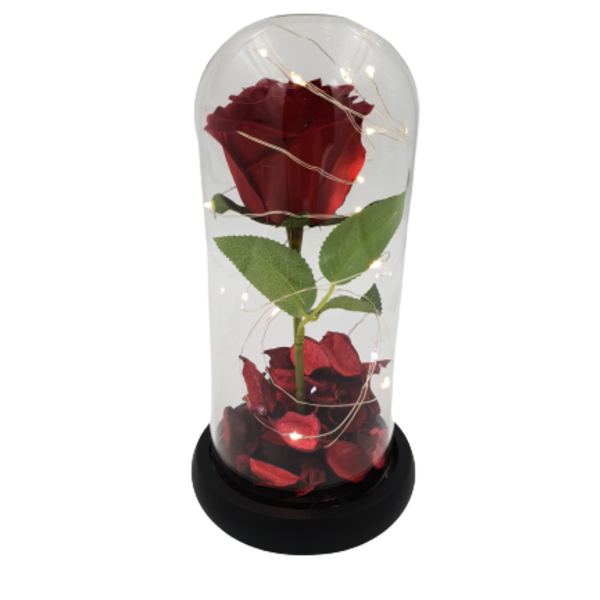 Γυάλινη καμπάνα | τριαντάφυλλο φωτάκια | δώρο αγάπης - τριαντάφυλλο, γυάλινες, διακοσμητικά, δώρο οικονομικό