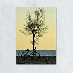 Μοναξιά.... ποδήλατο, δέντρο, θάλασσα, καμβάς, φωτογραφία-Αντίγραφο - πίνακες & κάδρα, καμβάς, παραλία - 3