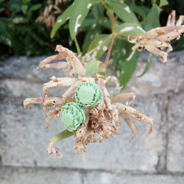 Σκουλαρίκια πράσινα μακαρόν - πηλός, καρφωτά, μικρά, καρφάκι, φθηνά - 2
