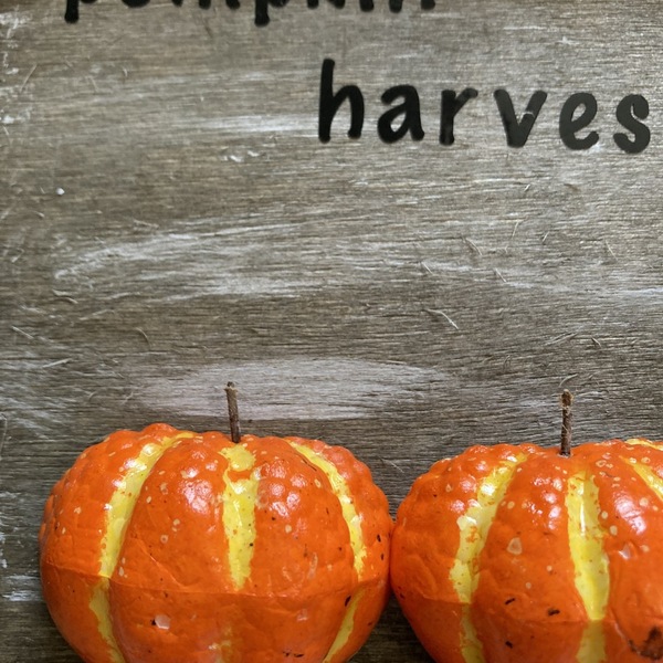 Διακοσμητικο φθινοπωρινο Καδρακι Απο Ξυλο Pumpkin Harvest διαστ. 12X 12 - ξύλο, διακοσμητικά - 2