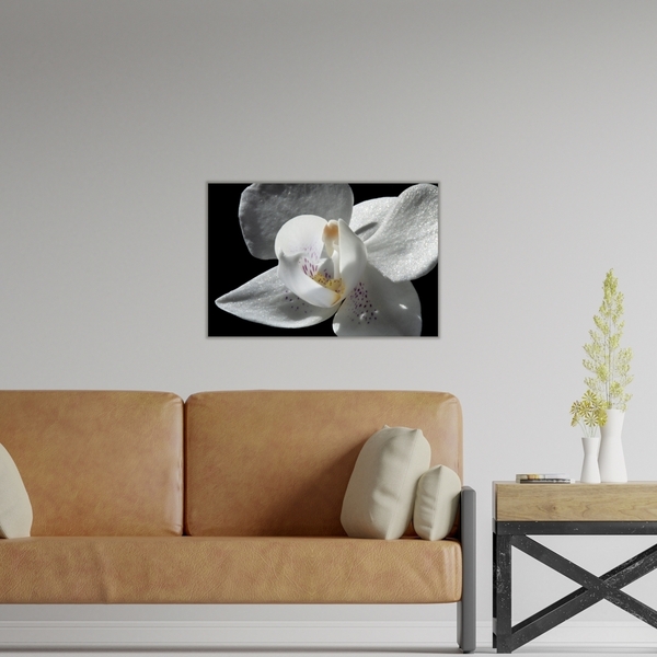 Κάδρο 30*20 | Λευκή ορχιδέα | Φωτογραφία Εκτυπωμένη σε Καμβά τελαρωμένο - πίνακες & κάδρα, διακόσμηση σαλονιού, ανοιξιάτικα λουλούδια - 2