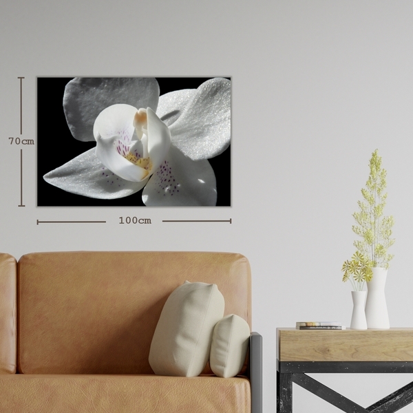 Κάδρο 30*20 | Λευκή ορχιδέα | Φωτογραφία Εκτυπωμένη σε Καμβά τελαρωμένο - πίνακες & κάδρα, διακόσμηση σαλονιού, ανοιξιάτικα λουλούδια - 3