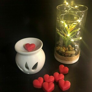 Wax melts σε σχήμα καρδιάς 8τμχ - κερί, αρωματικά κεριά, αρωματικά χώρου - 4