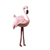 Tiny 20220607043325 676fc7b5 flamingo roz vamvakero