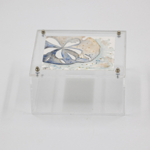 Κουτί plexi glass με ζωγραφισμένο αχινό μέσα στο καπάκι - οργάνωση & αποθήκευση, plexi glass, αχινός, κουτιά αποθήκευσης