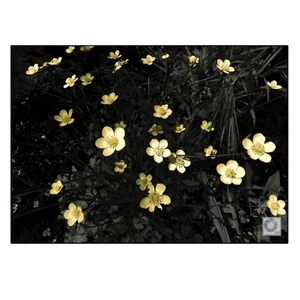 Printable Art|Photography "Yellow flowers". - Ψηφιακό αρχείο