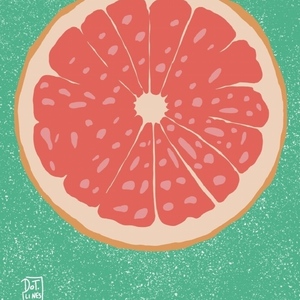Poster grapefruit - αφίσες