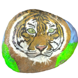 Πορτρέτο τίγρη ζωγραφισμένο στο χέρι σε βότσαλο. Διαστάσεις 9χ10 εκ. - ζωγραφισμένα στο χέρι, πέτρα, διακοσμητικά, ζωάκια