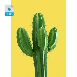 Ψηφιακή δημιουργία //dezain yellow cactus - αφίσες, κάκτος, καλλιτεχνική φωτογραφία