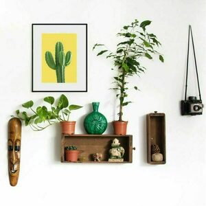 Ψηφιακή δημιουργία //dezain yellow cactus - αφίσες, κάκτος, καλλιτεχνική φωτογραφία - 5