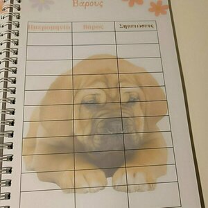 Ημερολόγιο καταγραφής σκύλου 312 σελίδες Α4, Δώρο stickers - 3