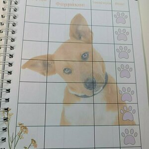 Ημερολόγιο καταγραφής σκύλου 312 σελίδες Α4, Δώρο stickers - 4