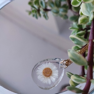 μενταγιόν με αποξηραμένο άνθος λευκού χρυσάνθεμου σε υγρό γυαλί - γυαλί, λουλούδι, ατσάλι, αποξηραμένα άνθη, μενταγιόν - 2