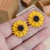 Tiny 20230825115327 65435f84 sunflowers iliotropia karfota