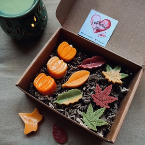 Autumn mood box wax melts (9τμχ) - αρωματικό χώρου, soy wax, vegan κεριά - 2