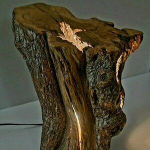 Κορμός ελιάς φωτιστικό σαλονιού-καθιστικού 30cm - ξύλο, πορτατίφ - 2
