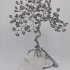Tiny 20231007175747 782a350e silver bonsai