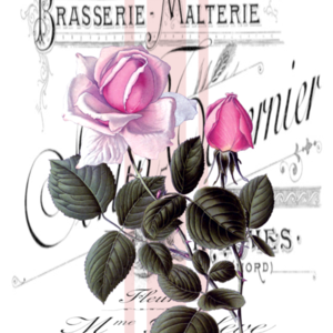 Αφίσα 21x30εκ. French Vintage Roses - πίνακες & κάδρα - 5
