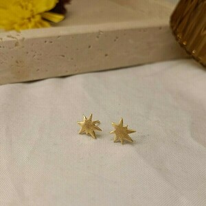 Purple Star - επιχρυσωμένα, ασήμι 925, αστέρι, μικρά, επιπλατινωμένα