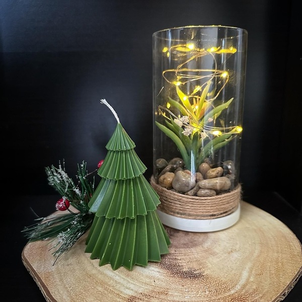 Χριστουγεννιάτικο κερί δεντράκι - κερί, αρωματικά κεριά, φυτικό κερί, κεριά & κηροπήγια, δέντρο - 3